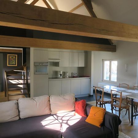 B&B / Studio De Druivelaar In Hartje Kluisbergen Luaran gambar